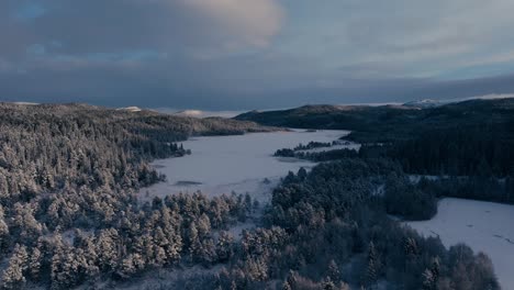 Snowy-Pine-Trees-In-The-Forest-During-Winter-In-Norway