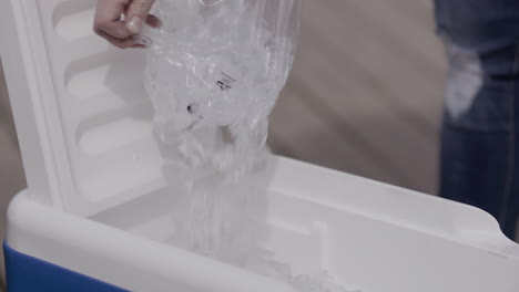 bag of ice being poured into a blue cooler