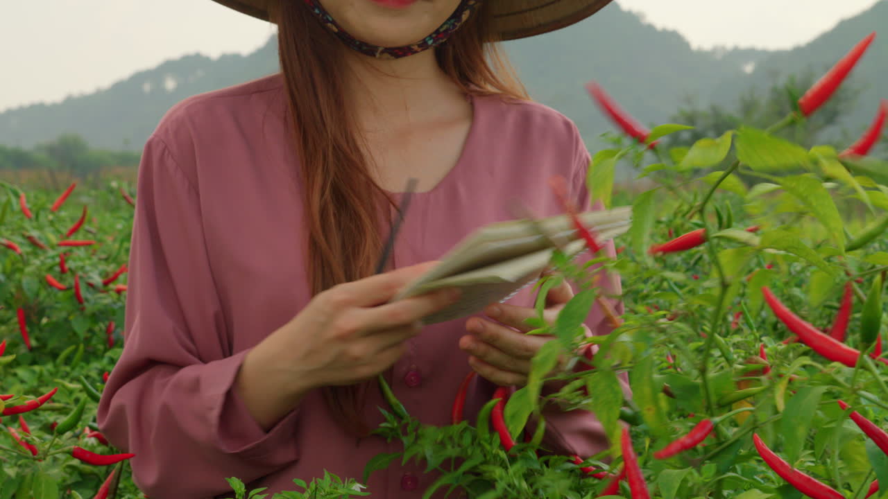 primer plano de una joven agricultora asiática comprobando la cosecha en una plantación de pimienta picante roja con sombrero de arroz de bambú chino y escribiendo una nota en su cuaderno