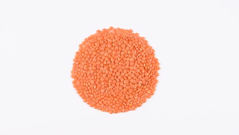 red chief lentils rotation. healthy raw organic vegetarian food on turn table isolated on white background.