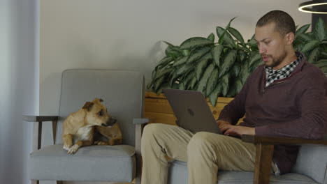 hombre afroamericano con su perro en un trabajo de alta tecnología