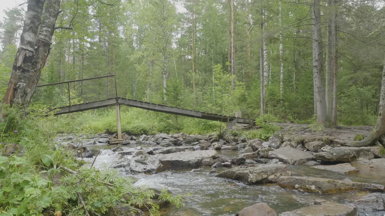 puente de madera sobre un arroyo en un bosque