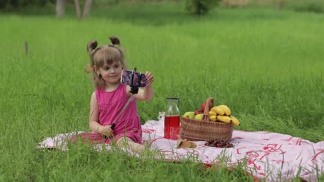 Fin-De-Semana-De-Picnic.-Chica-En-Pradera-De-Hierba-Hace-Selfie-En-Teléfono-Móvil-Con-Palo-Selfie.-Videollamada