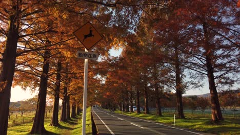 Carretera-Rural-De-Otoño-En-Shiga,-Japón