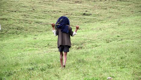 Ethiopian-Shepard-walk-on-green-field