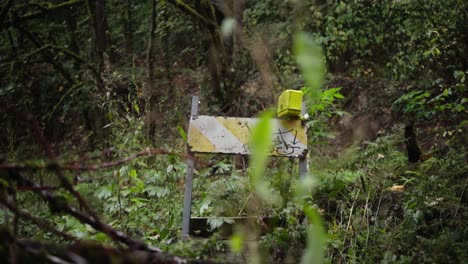 Sign-in-rainforest