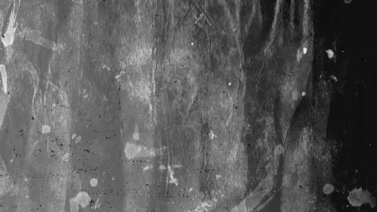 Sovrapposizione texture grunge astratta in bianco e nero