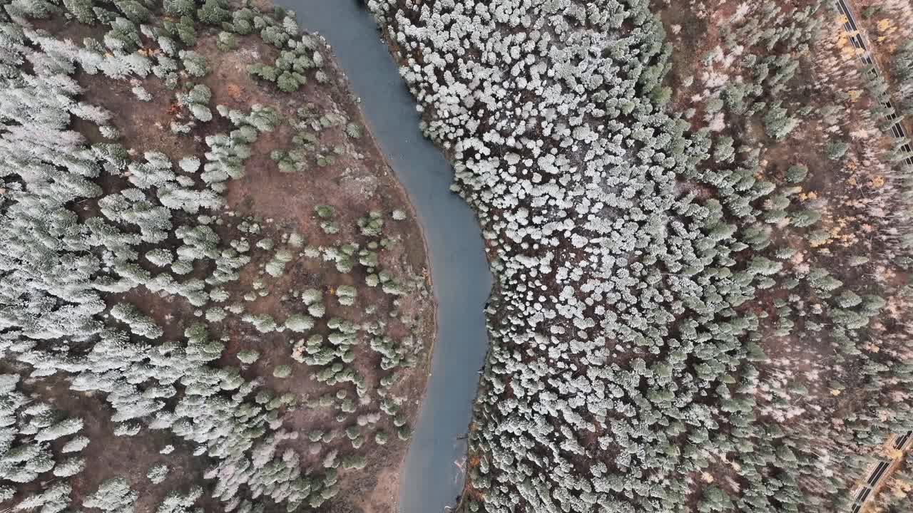 미국 아이다호 주 선 리 근처의 눈 인 숲의 나무에서 흐르는 강.
