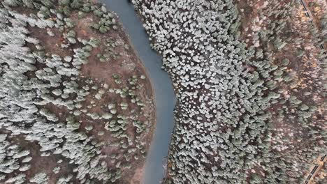 Arroyo-Del-Río-En-árboles-Forestales-Cubiertos-De-Nieve-Cerca-De-Sun-Valley,-Idaho,-Estados-Unidos