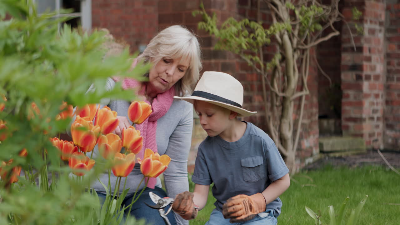 Grandmother and grandson gardening together