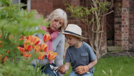 grandmother and grandson gardening together