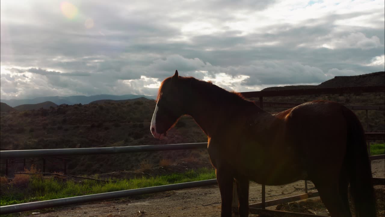 Cavalo marrom parado junto a uma cerca com montanhas e céu nublado.