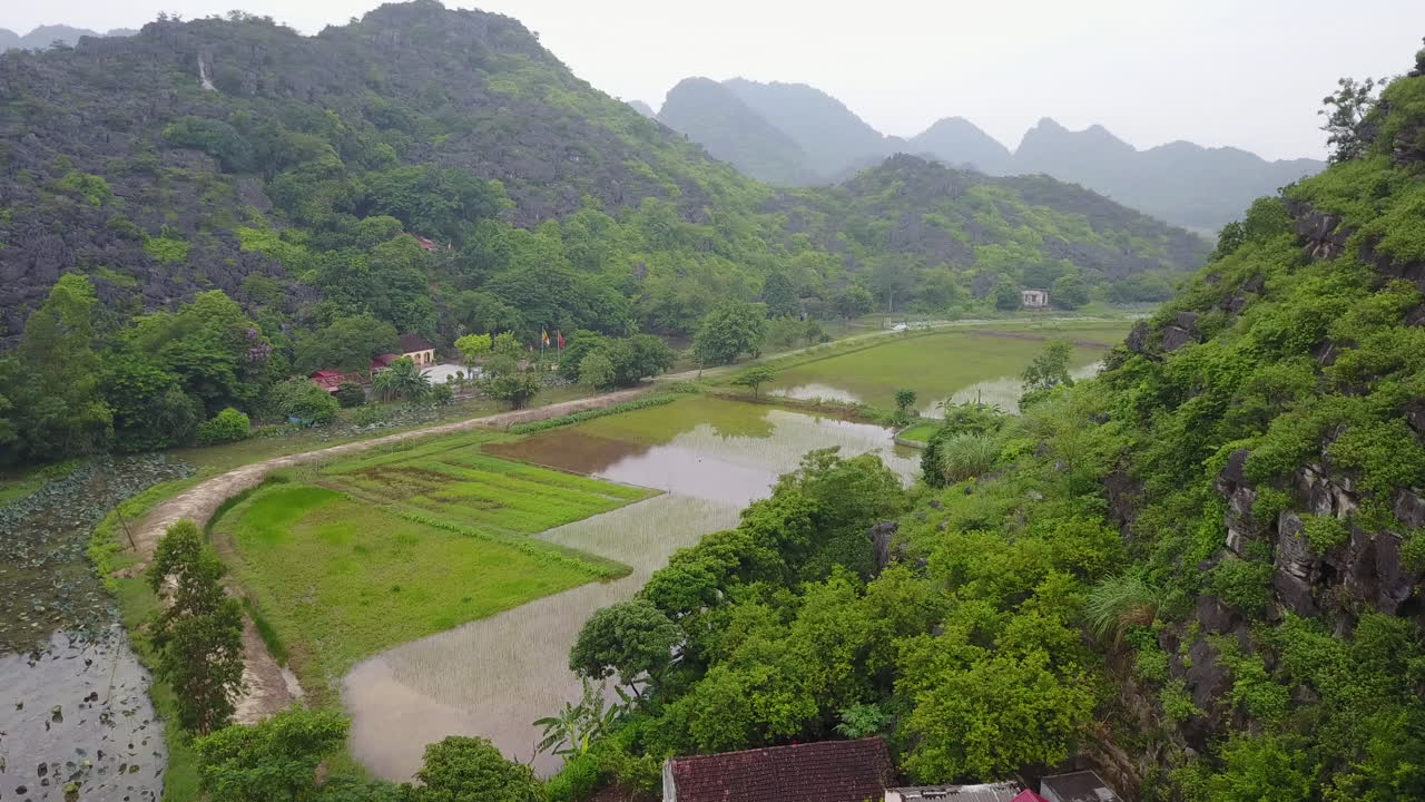 Discover the unique beauty of Ninh Binh, Vietnam, where flooded rice fields for planting nestle amidst impressive limestone rock formations, creating a stunning natural and agricultural landscape