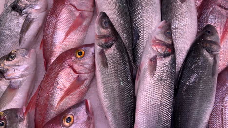 Pescado-Fresco-Capturado-Sobre-Hielo-En-Un-Mercado-De-Mariscos-En-España,-Toma-De-4k