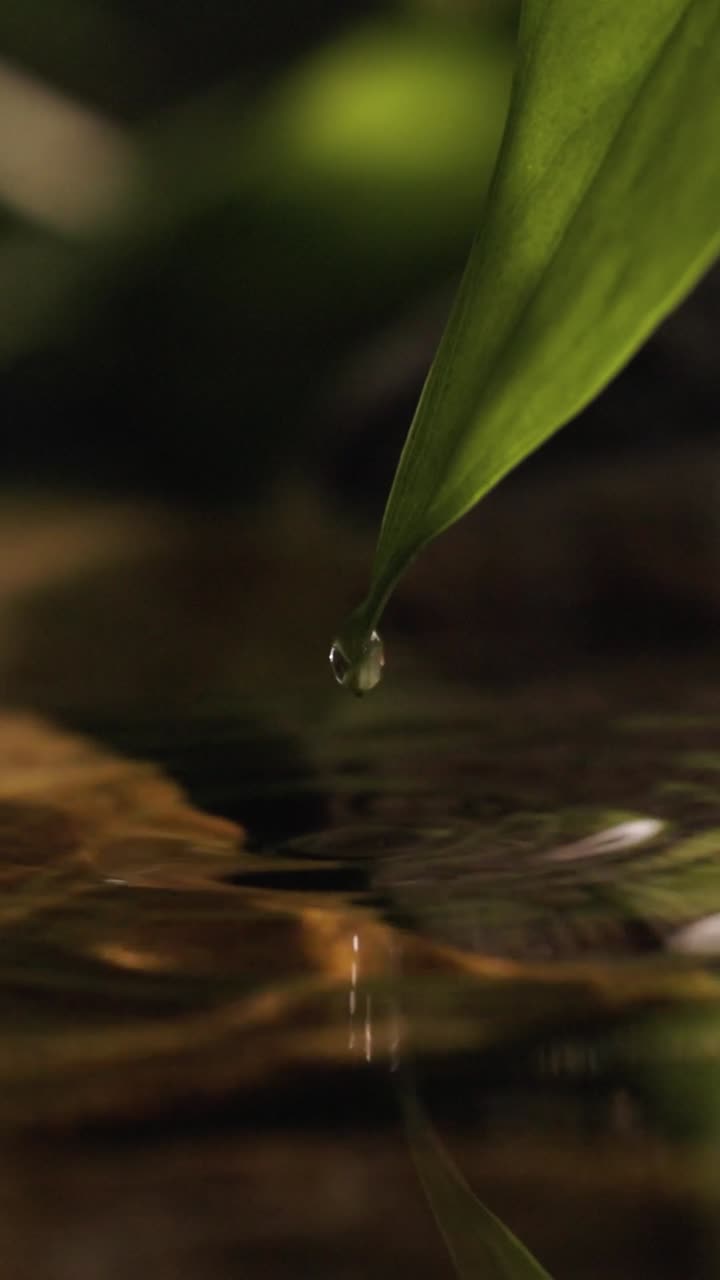 planta en la orilla del río