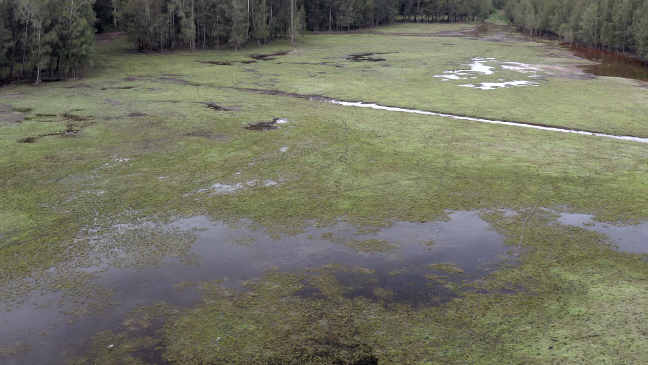 Aerial: Drone flying around a flooded field as birds take flight