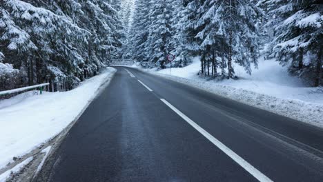 road in a winter scenery - tilt up shot