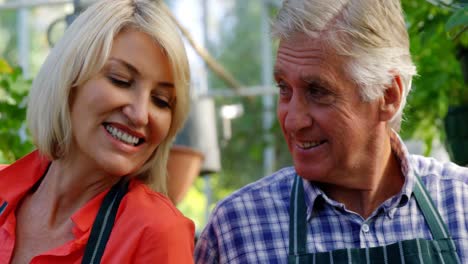 Mature-couple-having-tea-in-greenhouse