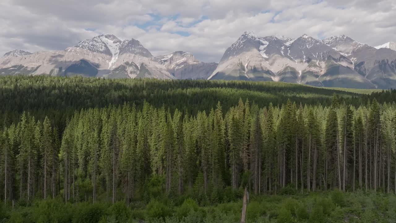 Drone panning right revealing tall, snowy mountains and a vast pine forest wilderness near Banff and Yoho National Park in Canada under a partially cloudy sky