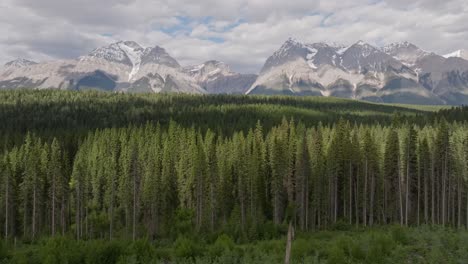 drone panning right revealing tall, snowy mountains and a vast pine forest wilderness near banff and yoho national park in canada under a partially cloudy sky