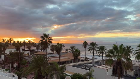 Tropical-landscape,-palm-tree-golden-hour-sunset-in-Tenerife-Spain