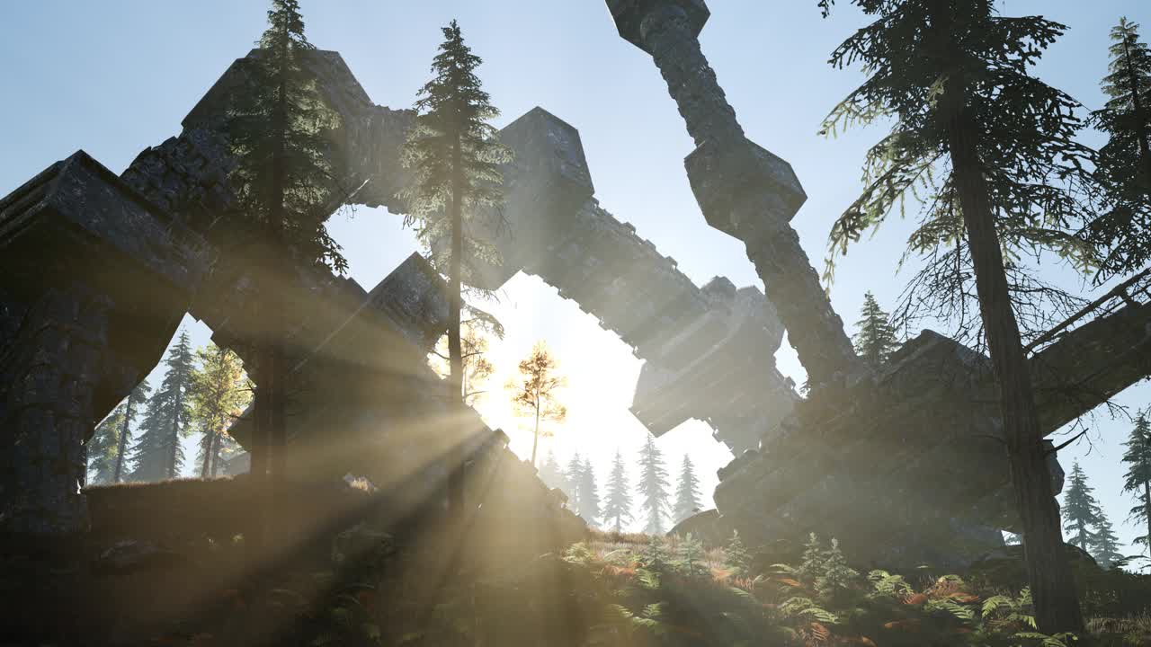 ufo가 숲에 추락했습니다.