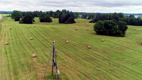 Toma-Aérea-En-órbita-De-Una-Cigüeña-Descansando-En-Una-Torre-De-Transmisión-Rodeada-De-Campos-Agrícolas-Con-Balas-De-Heno-Y-Carretera