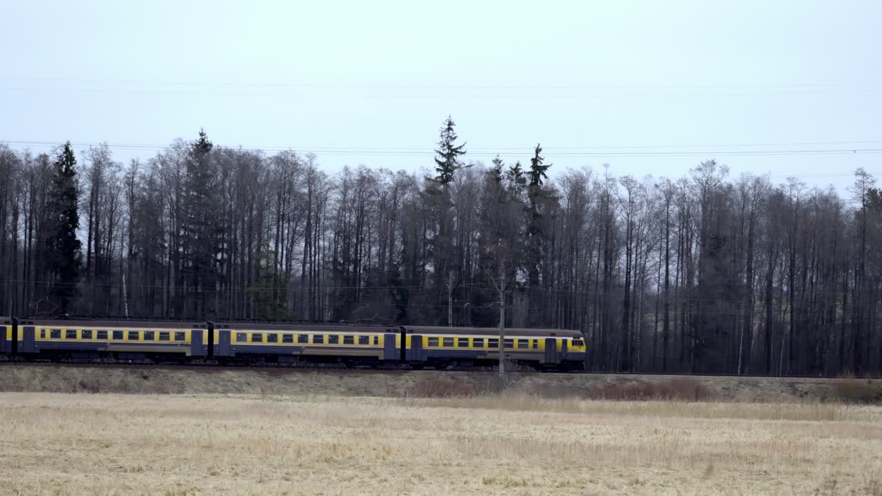 un treno passeggeri giallo rosso con una striscia gialla che viaggia lungo un binario ferroviario attraverso un campo verde, con una foresta di alberi alti sullo sfondo in un giorno di primavera