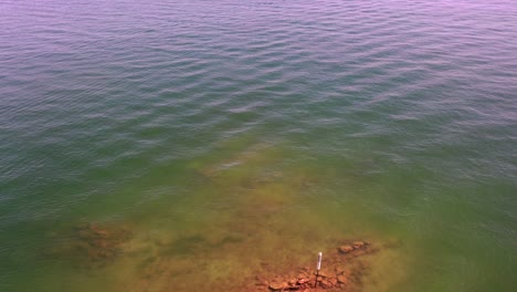 persiguiendo botes en el lago lanier en cumming, georgia
