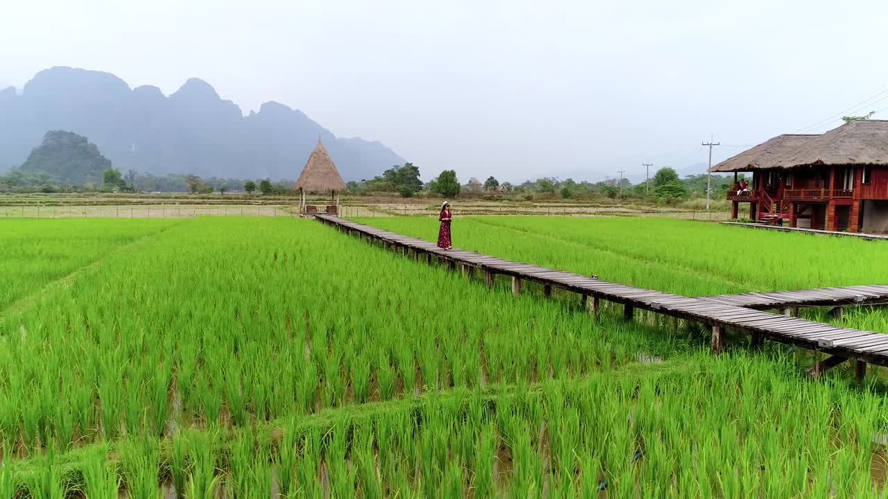 드론으로 촬영된 4k 영상. 녹색 이 있는 나무로 된 길을 고 있는 젊은 여성