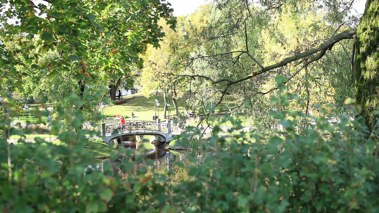 도시 공원 에 있는 다리
