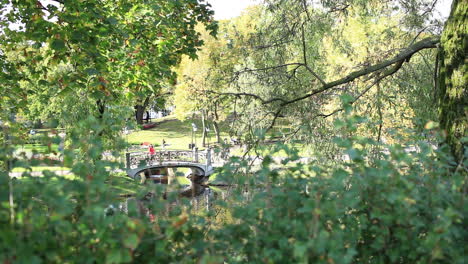 bridge in the city park