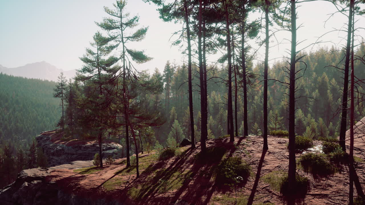 웅장한 산림 풍경