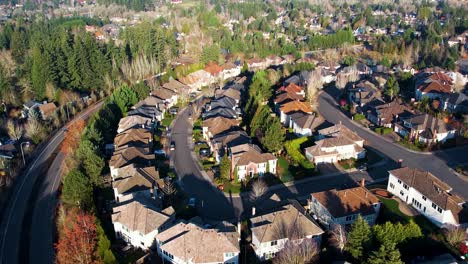 4K-aerial-drone-shot-overlooking-Pacific-Northwest-trees