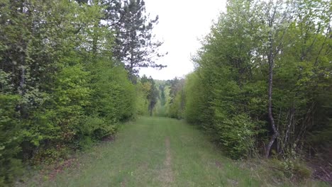 fast drone shot in a forest path. europe france verdun