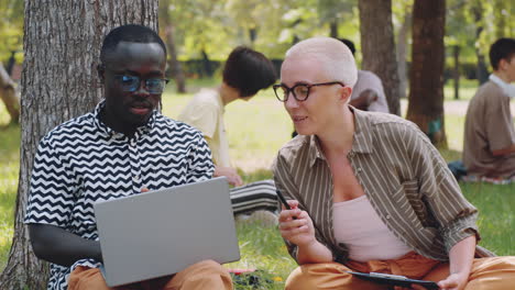 estudiante y maestro multiétnicos usando computadora portátil y hablando en el parque