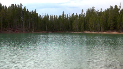 la lluvia cae en cámara lenta sobre la superficie de un lago con una costa cubierta de árboles en el fondo