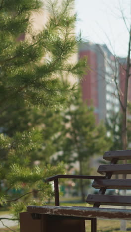 a girl sits on a park bench, wearing a peach jacket, grey inner shirt, and black trousers. she picks up her rollerblades and prepares to leave, creating a serene and reflective moment in the park