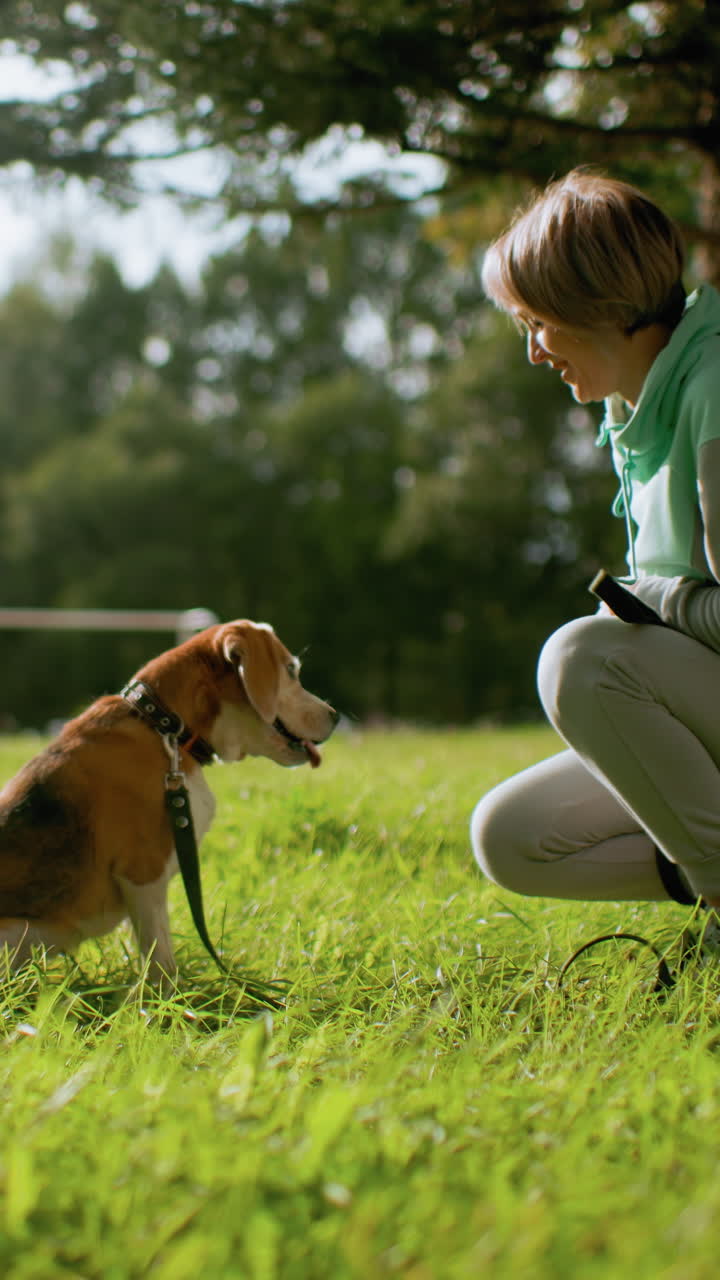 비글이 여성에게 발을 내밀고, 화창한 공원에서 무릎 꿇은 주인이 발과 간식을 내밀며 온순하게 따르는 순간, 초록 잔디와 멀리 보이는 골대, 목걸이와 가죽 끈이 보이고, 부드러운 햇빛이 나무 사이로 비치며 따뜻하고 평온한 분위기