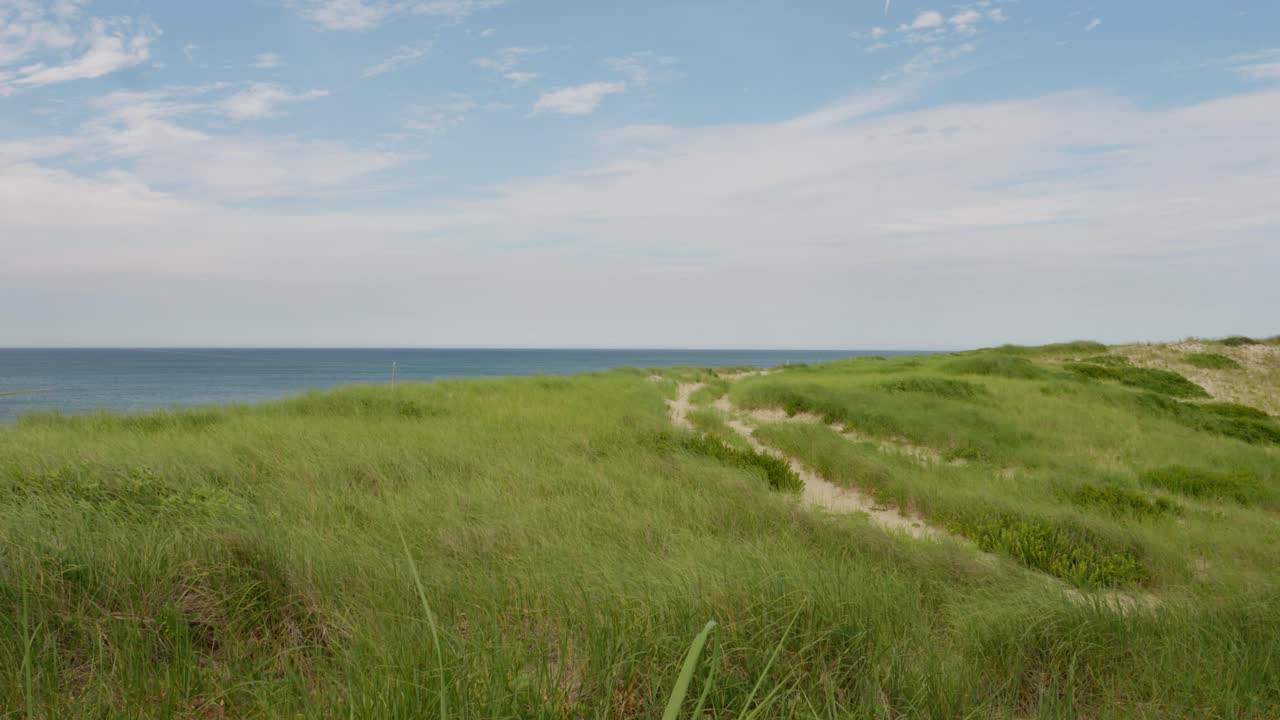 Beach dunes with grass and ocean view