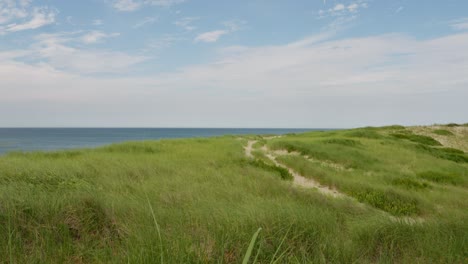 beach dunes with grass and ocean view