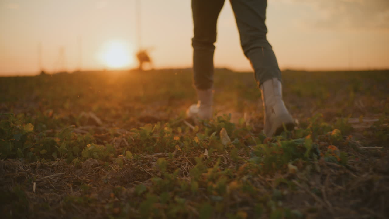 persona caminando en un campo al atardecer