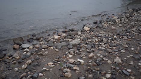 shoreline-sea-of-galilee-israel