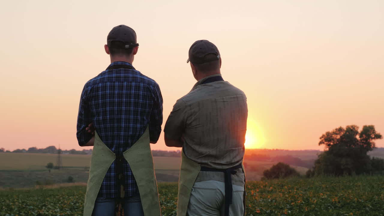 Due agricoltori - padre e figlio - sono in piedi nel campo, guardano in lontananza. Vista di spalle.