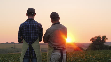 Zwei-Bauern---Vater-Und-Sohn-Stehen-Auf-Dem-Feld-Und-Schauen-In-Die-Ferne-Rückansicht-Back