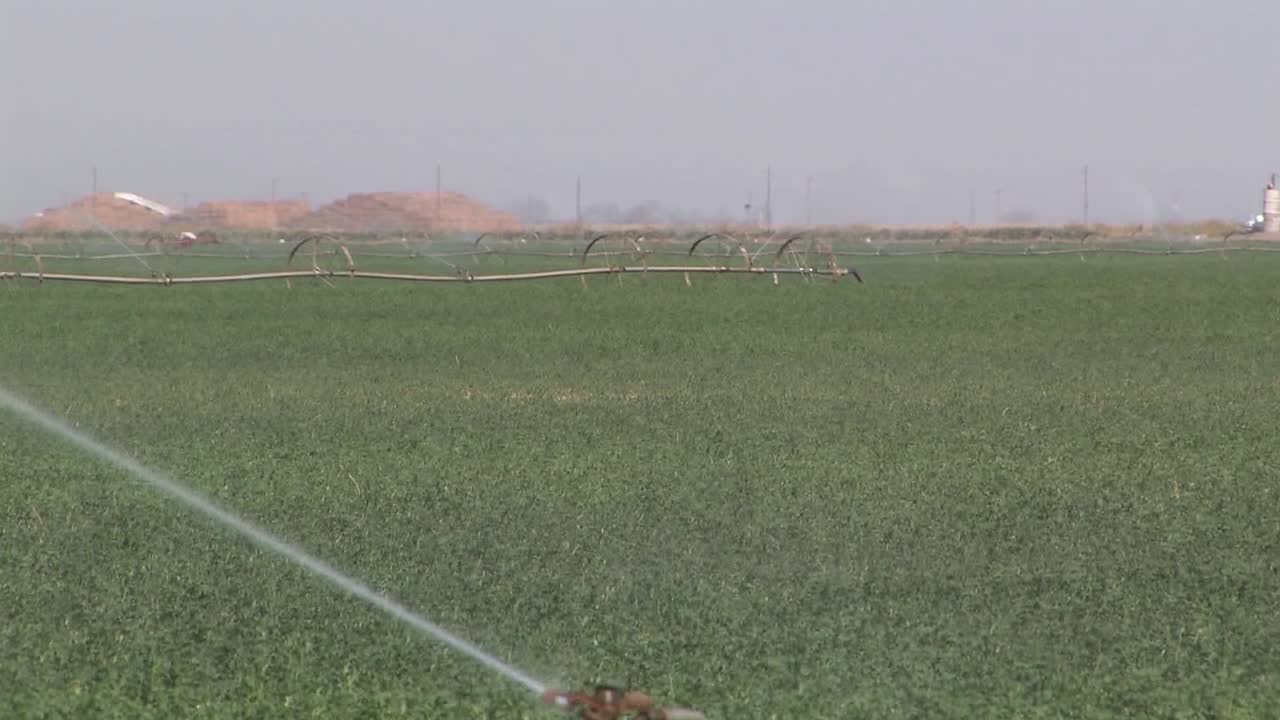 aspersores de riego en el sur de california, estados unidos