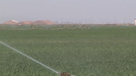 aspersores de riego en el sur de california, estados unidos