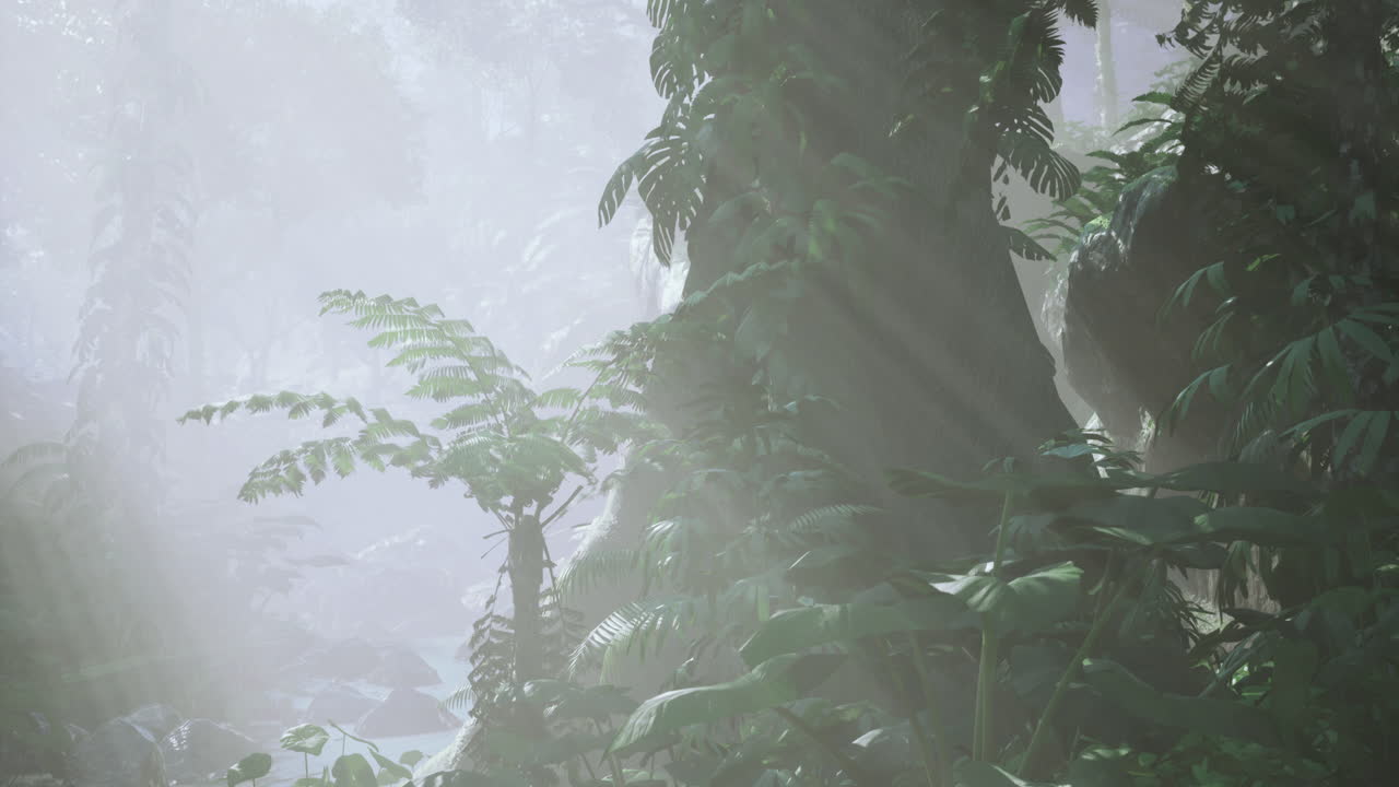 Misty rainforest with lush greenery and sun rays filtering through trees