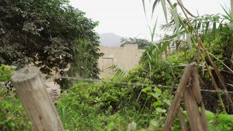 Tilting-up-shot-revealing-an-abandoned-house-with-ranch-in-the-backyard-in-Ascope,-La-Libertad,-Peru