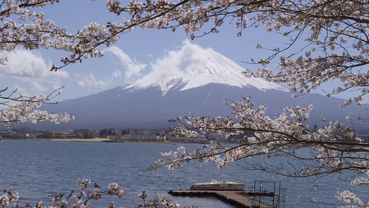 Speed boat parked in front of Mt. Fuji at Lake Kawaguchiko with cherry blossoms